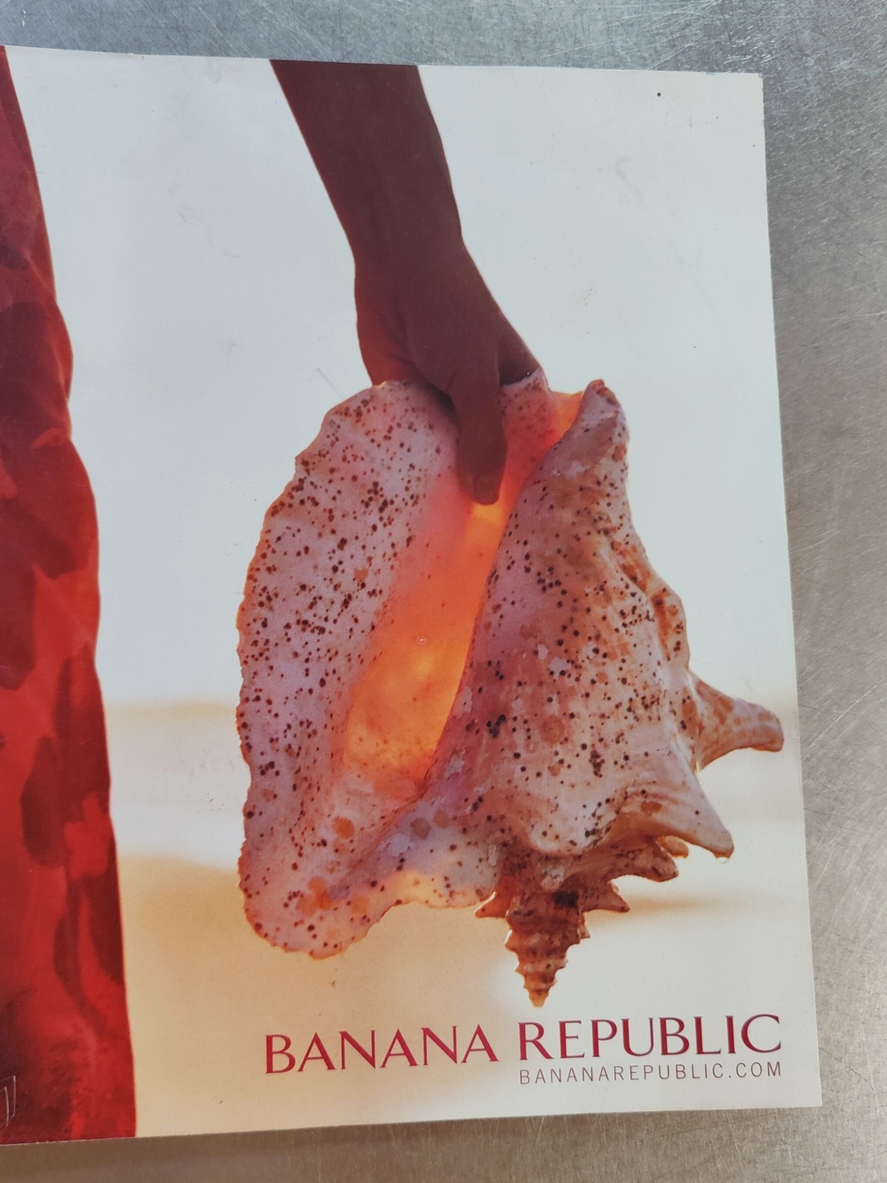 Banana Republic Catalog - Pink Shell